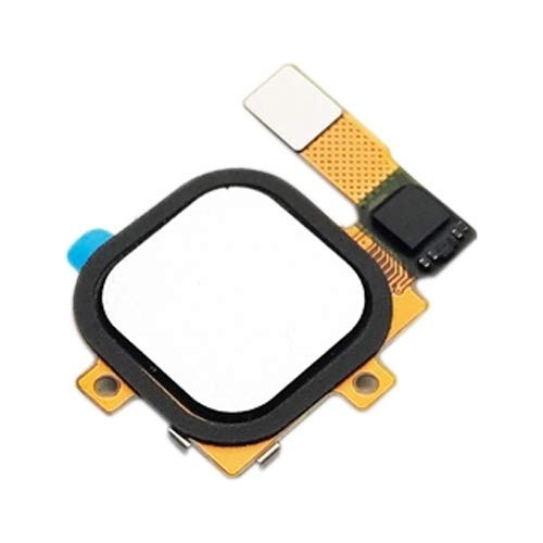 Cable Flexible Sensor Huella Dactilar Repuesto Ucami Para 6p