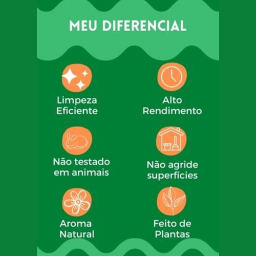 Kit 2 Multiuso Limpador Geral Biodegradável Plantas Pitanga