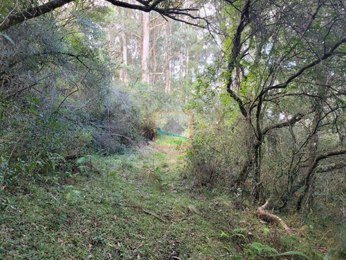 Imagen 12 de 23 de Campo Turístico 38 Hás En Zanja Del Tigre