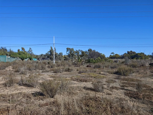 Parcela En Venta En Loteo Tongoycillo