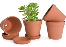 Comprar Paquete De 4 Macetas De Terracota Platillos, 6 Pulgadas...