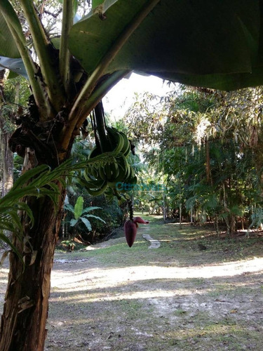 Imagem 4 de 12 de Chácara À Venda, 30000 M² Por R$ 500.000,00 - Saíva - Antonina/pr - Ch0027