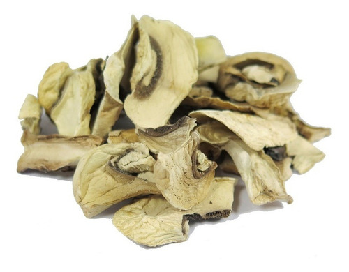 Hongos Champignones Secos X 1 Kg
