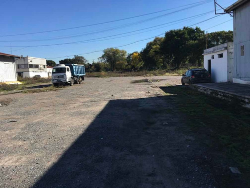 Imagen 1 de 5 de Deposito Alquiler Temporario/fijo X M2