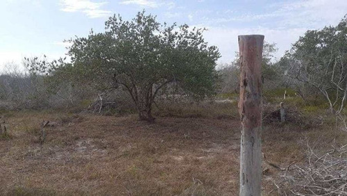 Terreno Lote En Holbox