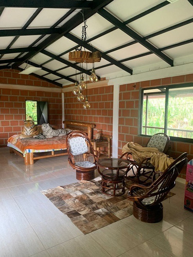 Imagen 6 de 21 de Vendo Finca Ganadera En Balboa Risaralda