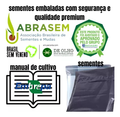 100 Sementes Batata Doce Premium Com Manual De Cultivo