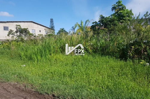 Imagem 3 de 4 de Terreno Na Praia Litoral Sul Próximo Rodovia Ref.ter089/dz