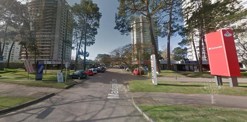 Local En Alquiler Ideal Estudio - Roosevelt- Punta Del Este
