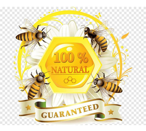 Miel Manuka 70+ Airborne 505 G Pura De Zelanda