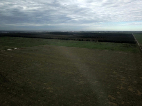 Imagen 4 de 11 de Campo - Andino