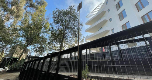 Imagen 17 de 19 de Reñaca