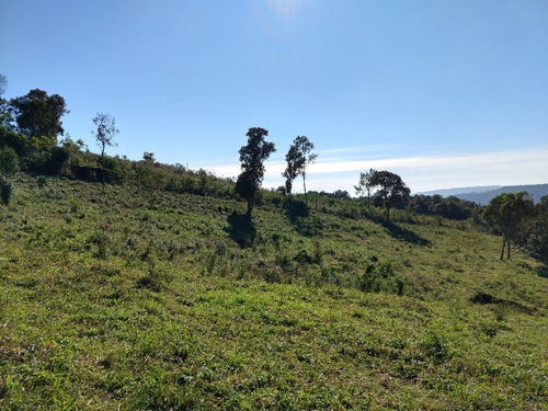 Chácara 20.000 M² - Lomba Grande - Novo Hamburgo - Rs - 1819 - 32578114