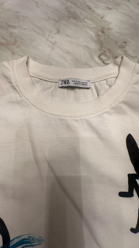 Remera Zara Estampada Hombre (Usado)