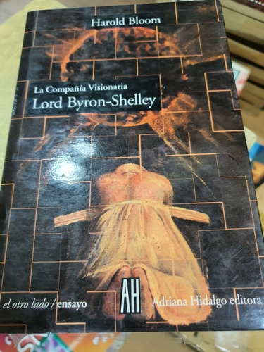 Libro:la Compañia Visionaria- Lord Byron- Shelley- Ensayo