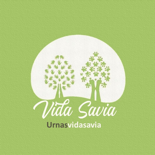 Imagen 4 de 10 de Urnas Para Cenizas Biodegradable Vida Savia