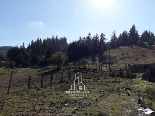 Paredones, Vendo Predio Agrícola Forestal, 23 Hectáreas