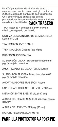 Can Am Ds 250