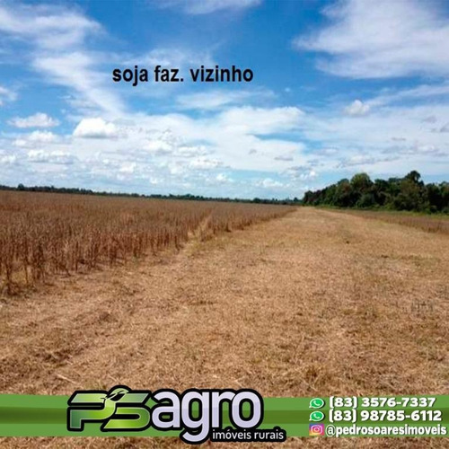 Imagem 10 de 30 de Fazenda À Venda, 430000 M² Por R$ 313.900.000,00 - Centro - Pium/to - Fa0047