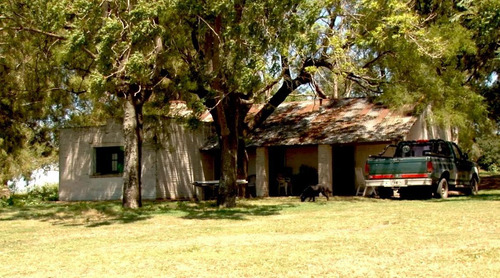 Imagen 4 de 8 de Importante Campo En Venta - Trenque Lauquen