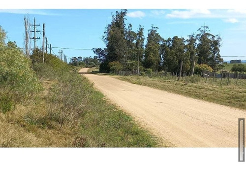 Imagen 5 de 23 de Chacra 8 Ha En San Carlos, Punta Del Este Zona Corte De La Leña Cañada Bellaca
