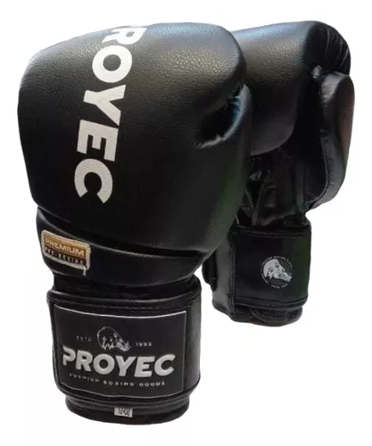 Guantes Boxeo Premium Proyec Importados 10 - 12 Oz Kick Thai