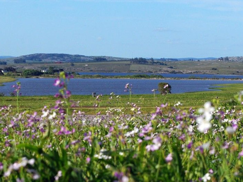 Terreno En Venta En Laguna De Los Cisnes