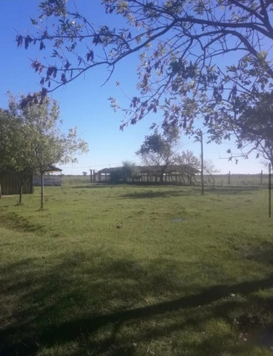 Campo De 6 Hectáreas A Metros De Ruta 6, San Vicente.