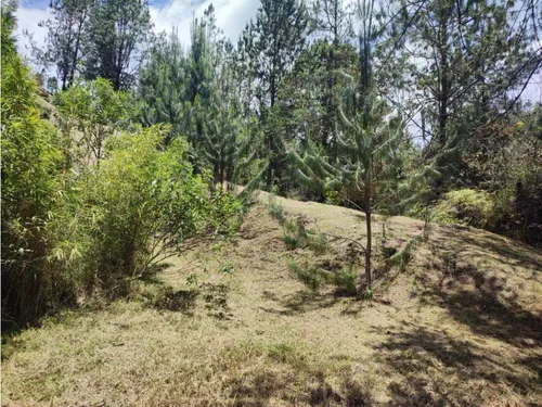 Vendo Lote El Retiro Antioquia En Parcelacion 3128 M2 Ldc