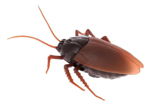 Simulação Engraçada Animal Barata Controle Remoto