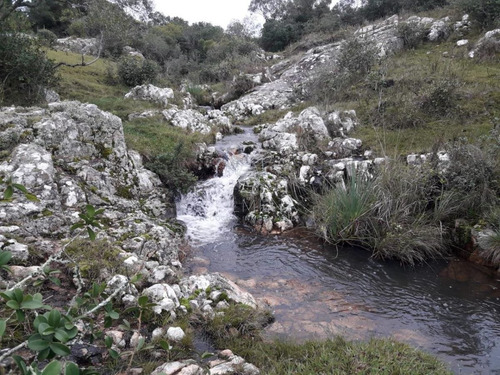 Imagen 7 de 10 de Chacras De 5 Y 7 Has En Zanja Del Tigre - Entrega Y Cuotas - Consulte!!!!!!!! - Zona Rural Zona Rural