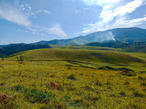 Imagem 1 de 29 de A23d-terreno Vista Bela E Arborizada!