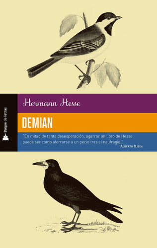 Demian, de Hesse, Hermann. Editorial Selector, tapa blanda en español, 2019