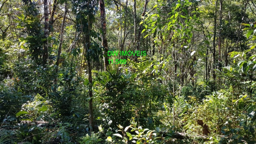 Imagem 19 de 19 de Juquitiba/terreno Com Mata E Nascente. - 05000 - 68089597