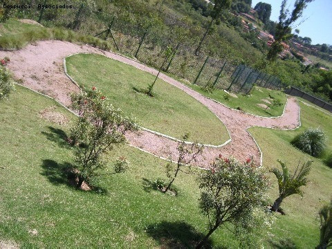 Imagem 15 de 15 de Terreno - Te03232 - 2241992