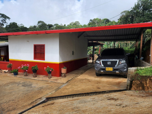 Imagen 9 de 20 de Venta De Finca Cafetera En Jericó Antioquia