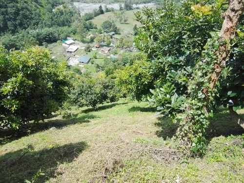 Finca Via Juntas - Ibagué