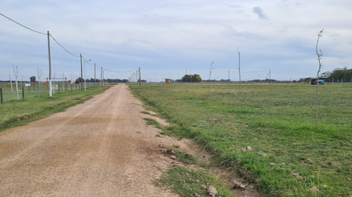 Imagen 13 de 14 de Cuatro Lotes De 600 Mt2!! Excelente Ubicación Dentro Del Barrio! Últimos A Este Valor