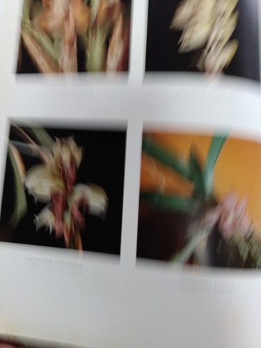 Imagen 3 de 6 de Orquídeas De Venezuelacuatro Tomos 30