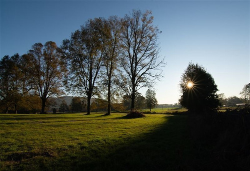 Imagen 8 de 13 de Sitios Planos De 5.000 M2 - Panguipulli - Ultimas Unidades