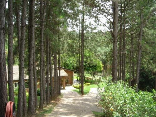Imagem 2 de 30 de Casa - Condomínio Itaembu - Ca1403