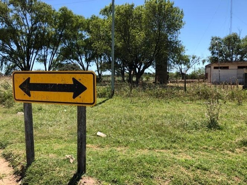 Imagen 4 de 7 de En Venta - 7 Ha / A La Vera De Rn7-km 347, Altura Acceso A Germania.