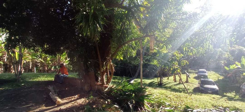 Imagen 29 de 30 de Venta De Terreno Amplio Con Bienhechurias, El Castaño Edo Aragua
