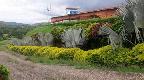Imagen 1 de 8 de Venta De Funcional Finca Productiva En San Juan De Los Morros, Guarico - Inmobiliaria Maggi 501