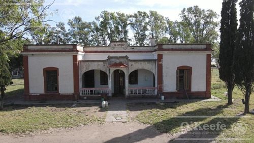 Imagen 3 de 29 de Campo Ganadero De 4300 Has - Sobre Ruta - Potencial Parque Eolico - Bahia Blanca