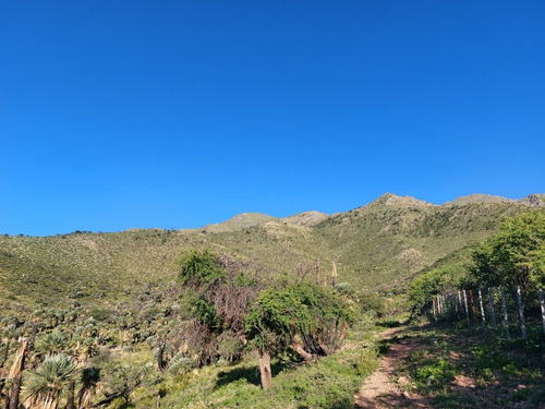 23 Hectáreas, Excelente Ubicación, Insuperable Vista