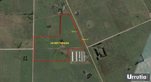 Imagen 2 de 2 de Sobre Ruta 47, 39 Has.