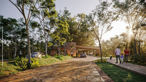 Kalanté Lotes Residenciales Ubicados En San Ignacio Yucatán.