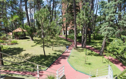 Imagen 12 de 14 de Alquiler Apartamento Arcobaleno Punta Del Este