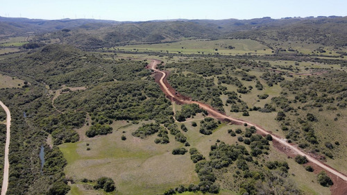 Imagen 5 de 9 de Chacra 5ha Lavalleja Aguas Blancas Fraccionamiento (ref: Atm-6838)